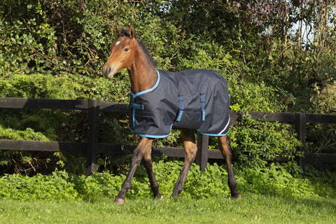 Horseware Amigo Foal Rug 200g