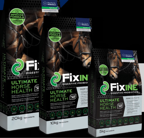 Fixine Probiotic