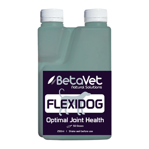BetaVet Flexi Dog