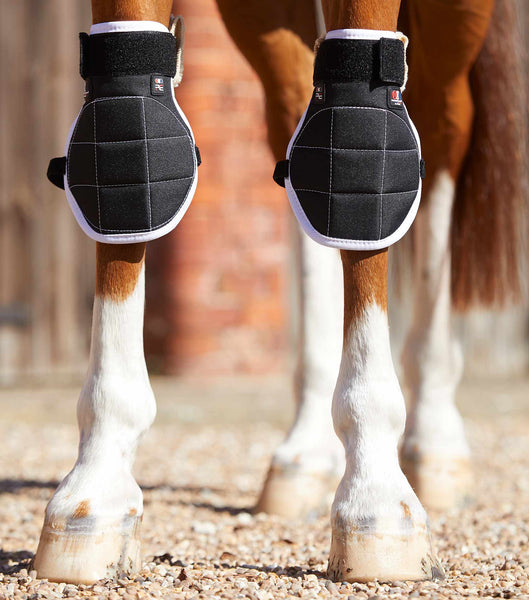 MagniTeque Horse Knee Boots • Uberhorse
