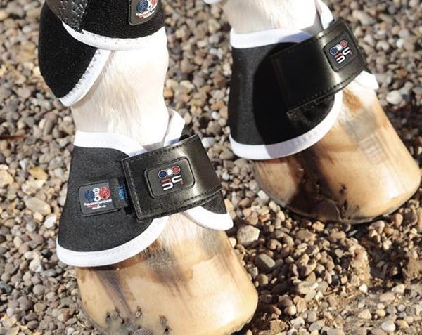 Premier equine sales magnetic fetlock boots
