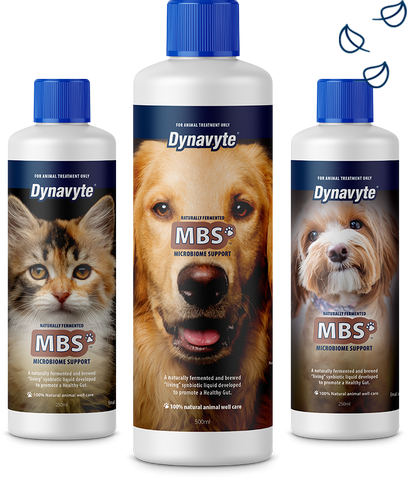 Dynavyte MBS for Dogs