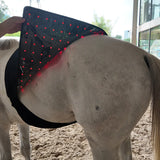 Uberhorse LED Red Light Therapy XL Back Pad