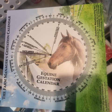 Gestation Calendar Mare