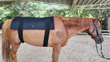 Uberhorse LED Red Light Therapy XL Back Pad