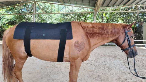 Uberhorse LED Red Light Therapy XL Back Pad