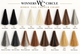 Winners Circle Tails