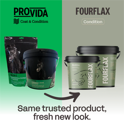 Four Flax Equine Biotin+