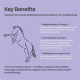 Four Flax Equine Omega 3