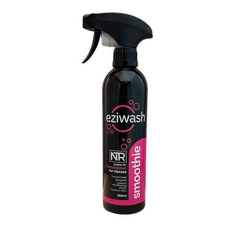 NTR Eziwash Smoothie