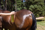 Pre-Mixed Essential Oil Coat Conditioner