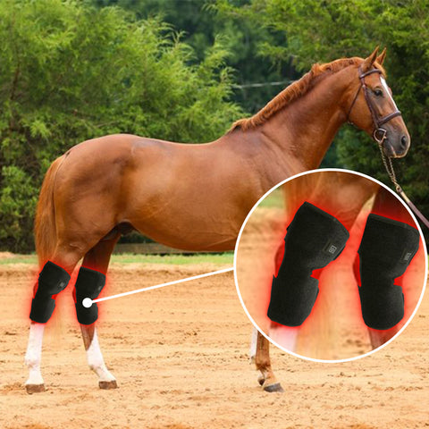 Uberhorse LED Red Light Therapy Hock or Knee Wraps