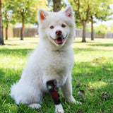 Uberhorse LED Red Light Therapy Pet Leg Wrap