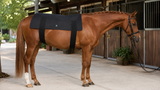 Uberhorse LED Red Light Therapy XL Back Pad