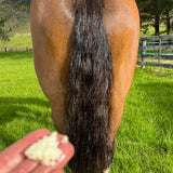 Eco Horse Leave-In Conditioner