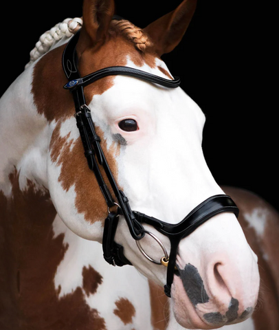 PS of Sweden Pioneer Bridle