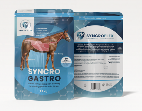 Syncroflex Syncro Gastro
