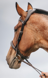 English Leather Plaited Browband