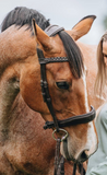 English Leather Plaited Browband