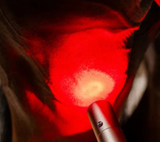 Uberhorse LED Red Light Therapy Wand