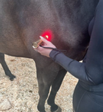 Uberhorse LED Red Light Therapy Wand