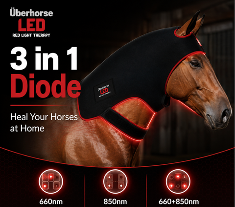 Uberhorse LED Red Light Therapy Neck & Poll Mask Large