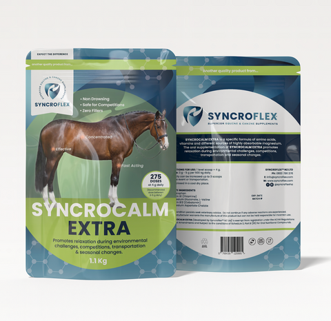 Syncrocalm Extra