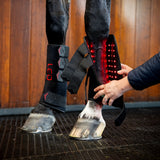 Horseware LED Red Light Therapy Leg Wrap