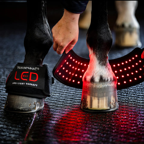 Horseware LED Red Light Therapy Hoof Wrap
