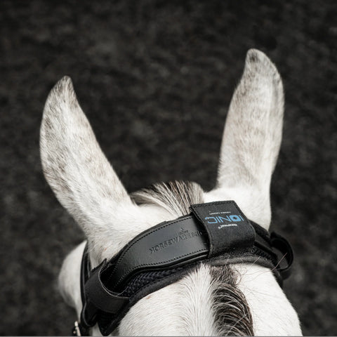 Horseware Ionic Poll Cover