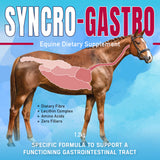 SYNCRO-GASTRO