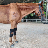 Uberhorse LED Red Light Therapy Hock or Knee Wraps