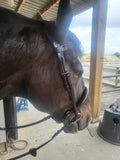 English Leather Plaited Browband