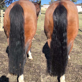 Hairy Pony 2 in 1 Detangle and Shine