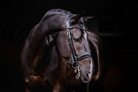 PSOS Double Bridle Passage Lacquered