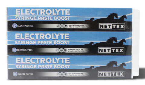 Electrolyte Syringe Paste Boost