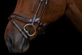 PSOS Double Bridle Paragon