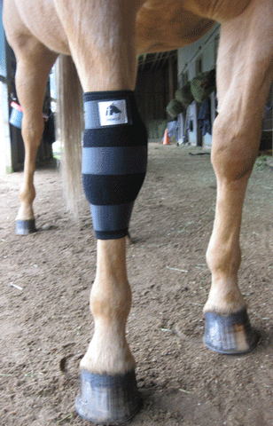 Liquid Titanium Therapeutic Knee Boots Pair Uberhorse