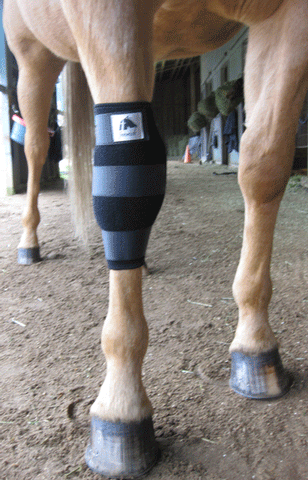 Liquid Titanium Therapeutic Knee Boots (Pair)